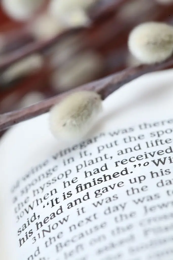 Image of the bible opened to John 19:30 which Jesus makes one of his seven sayings from the cross and says "It is finished."